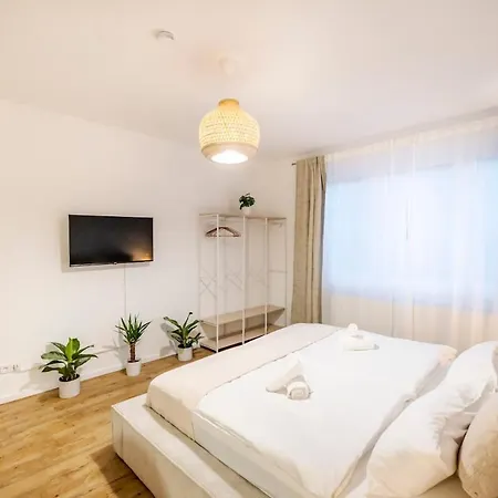 Apartment & Exclusive Amenities